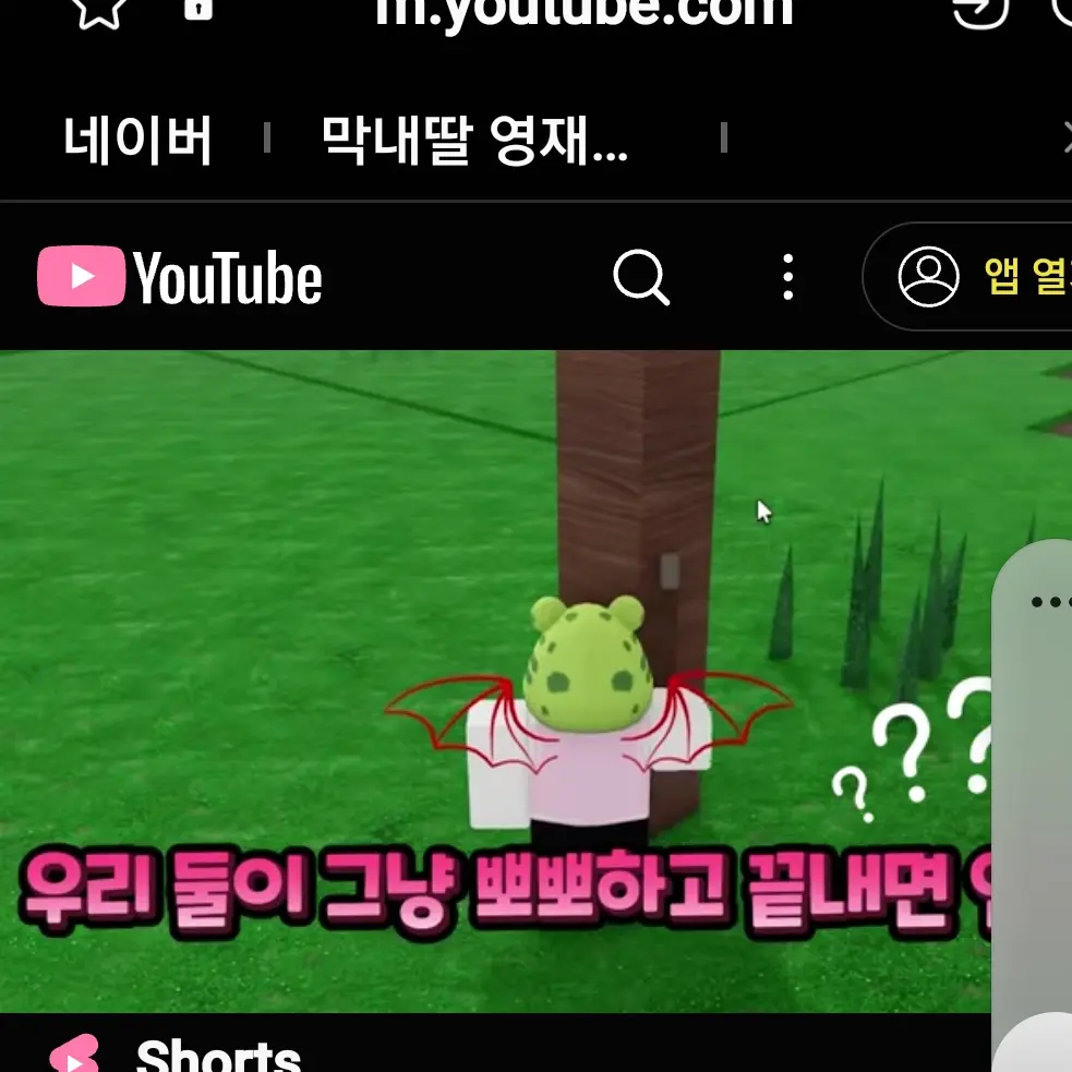 UsableBoy0780의 홍챠(당신) 당찬 집사!