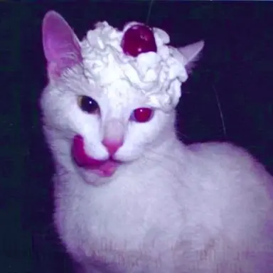 Profile image of 세리오엔