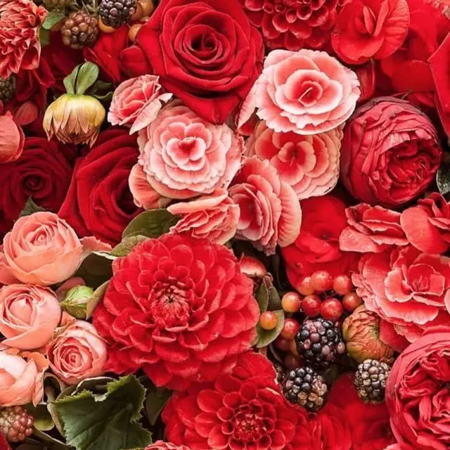 TartMedal1741의 も