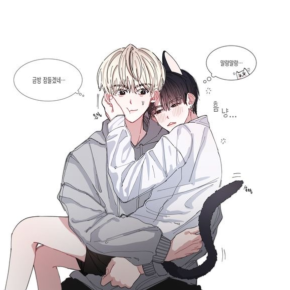 최대현 대표 이미지