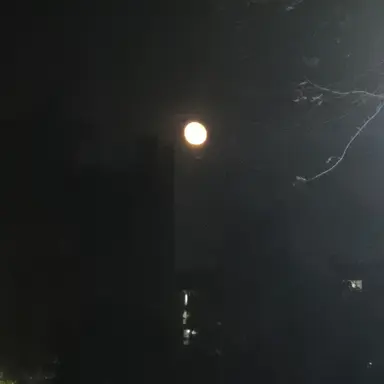 Profile image of 순