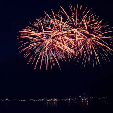 Profile image of Yuki