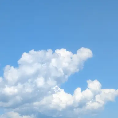 Profile image of Nozomi