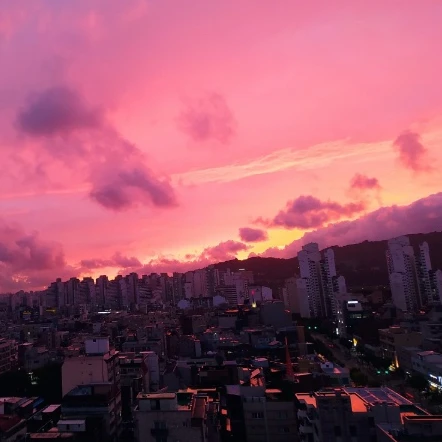 호원