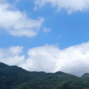 Profile image of 평학