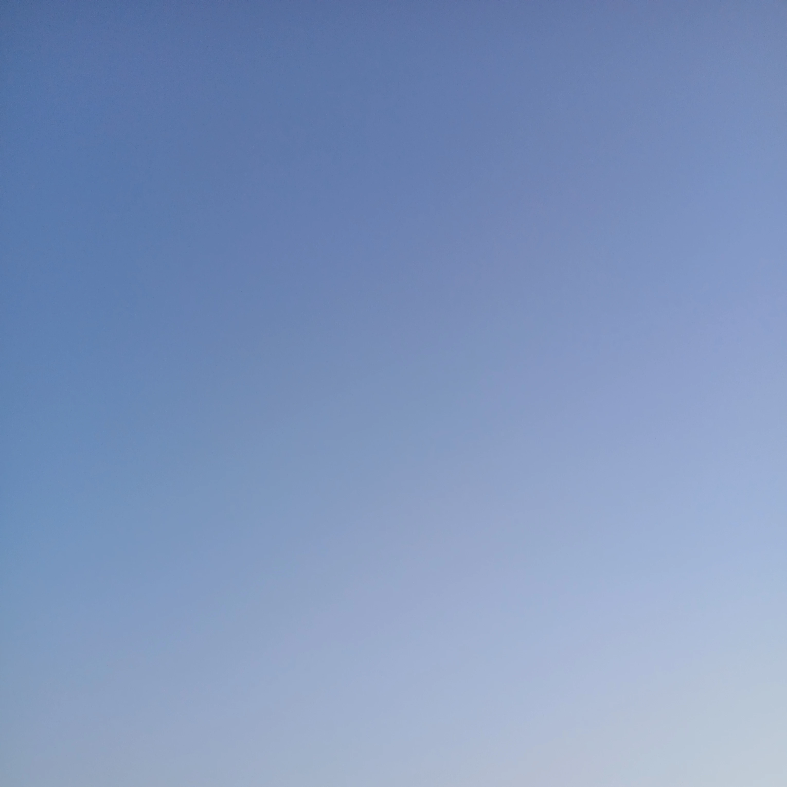 박 성 호