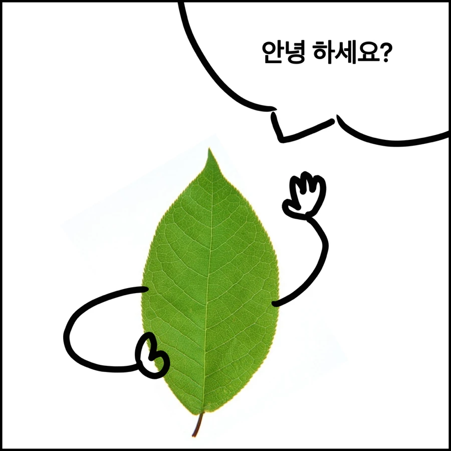 Mr. L