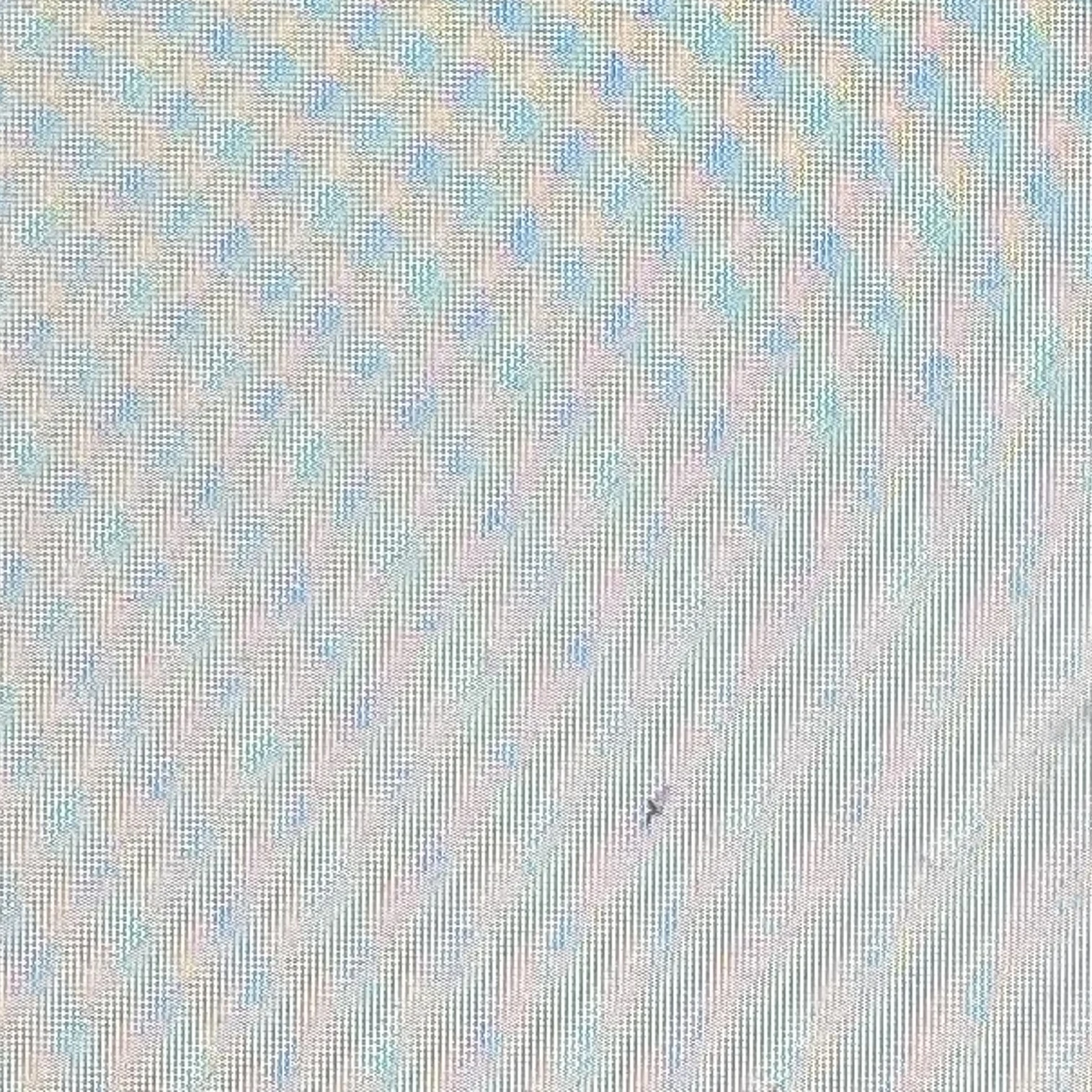 海人