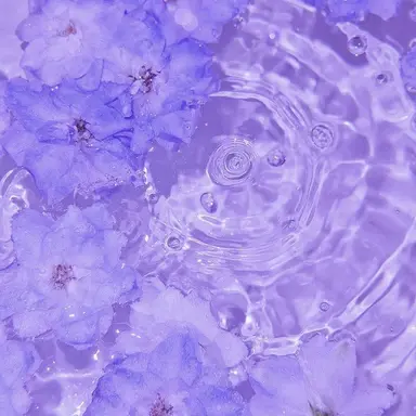 Profile image of 멜로우