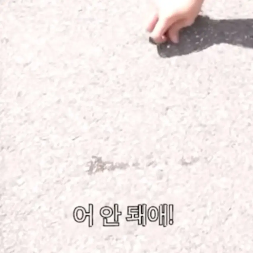 OddIce3665의 ㄱㅇㅎ