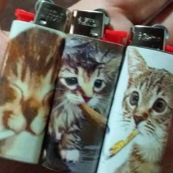 cxke.re3의 韩承权