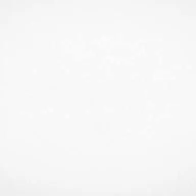 Profile image of 최세경 ㅣ온은유ㅣ