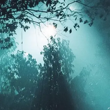 Profile image of 久保舜斗