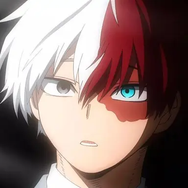 Profile image of Shoto Todoroki