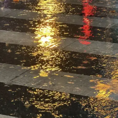 Profile image of 준브레드