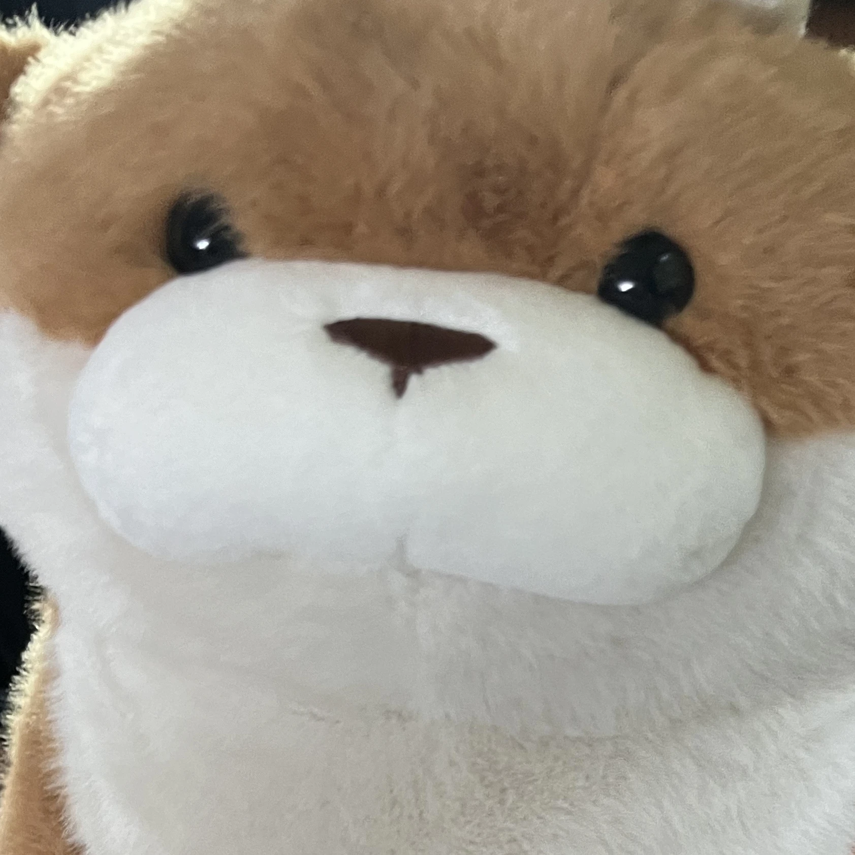 ㅇㅈㅎ