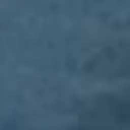 Profile image of 라파엘