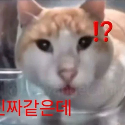카제