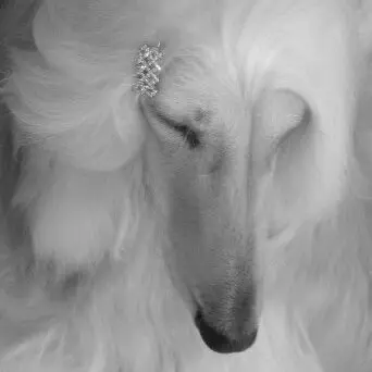 Profile image of 노아