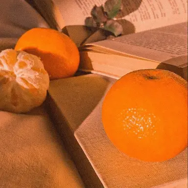 Profile image of 코마