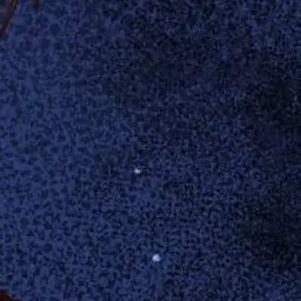 Profile image of 애저