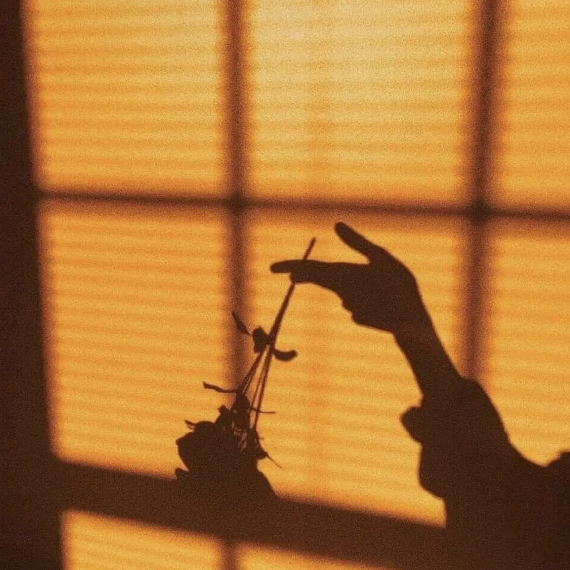 Hehi._.의 유치원