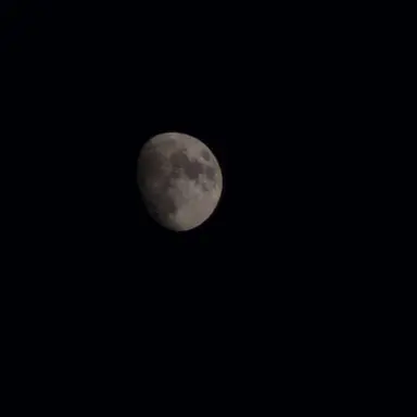 Profile image of 각별