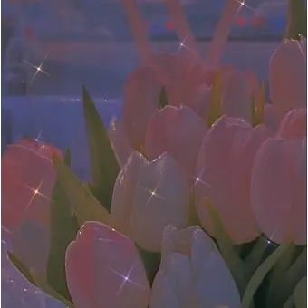 Profile image of 또니