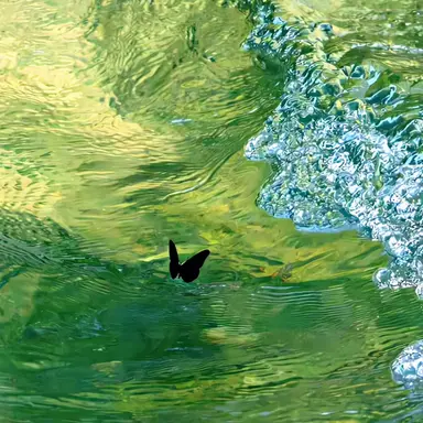 Profile image of 뎸