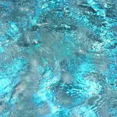 Profile image of 모로이