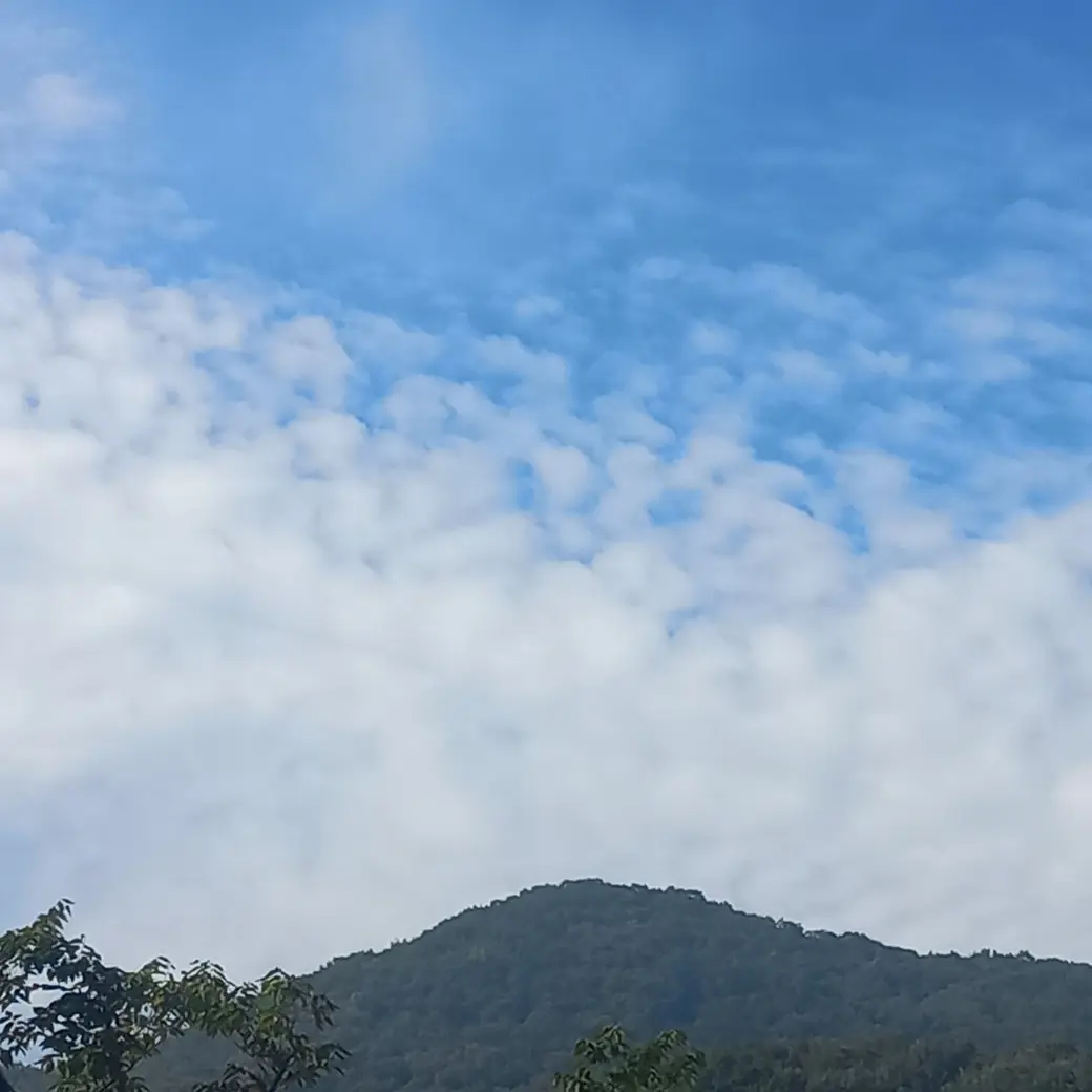 Eun1411의 시부키