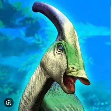 Profile image of 파라파라