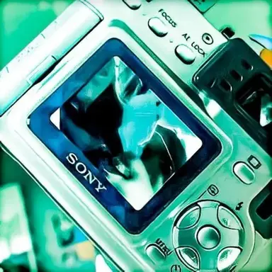 Profile image of 티푸