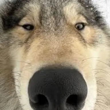 Profile image of テソク