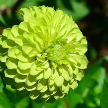 Profile image of 田村升吾
