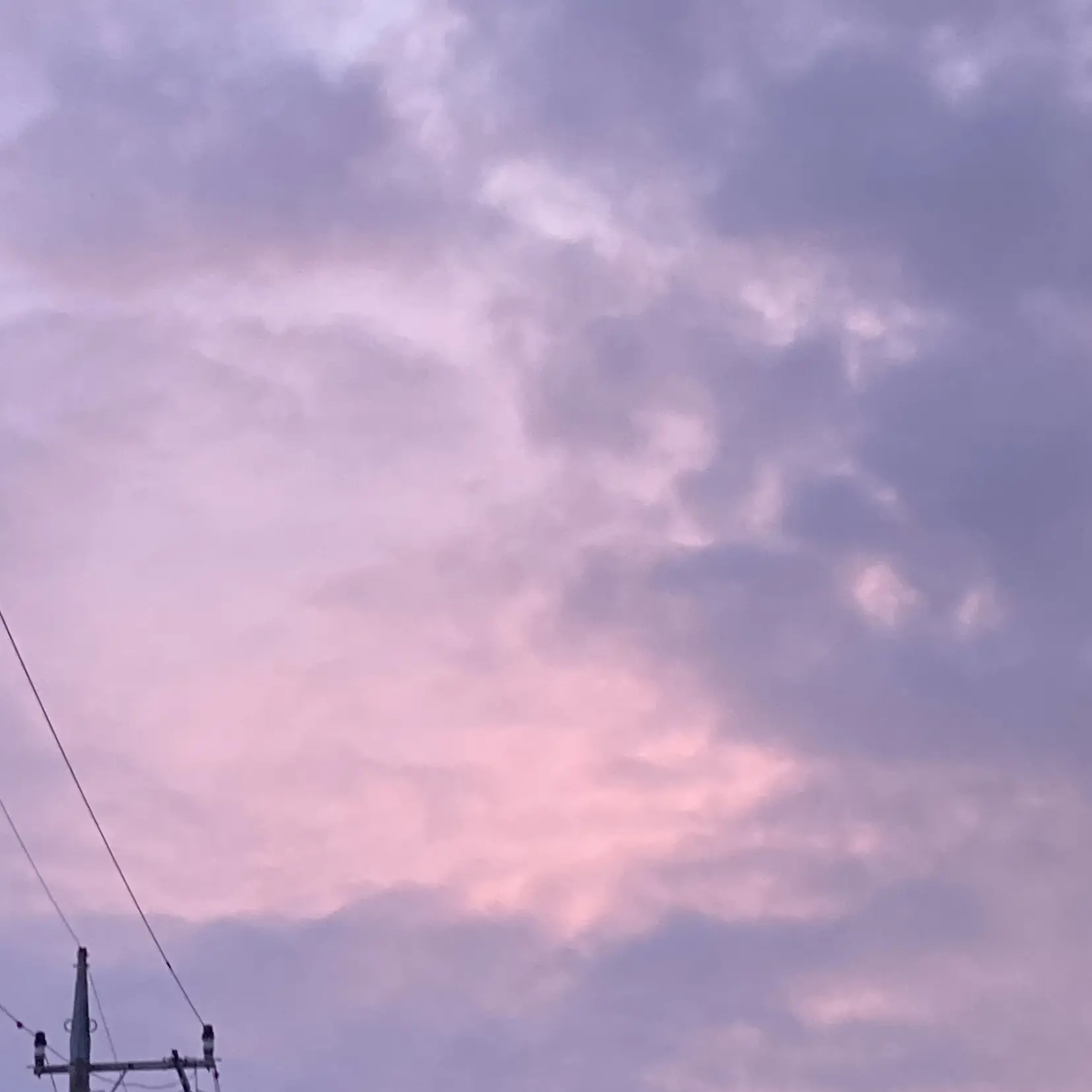 __xilY2의 きんじょ
