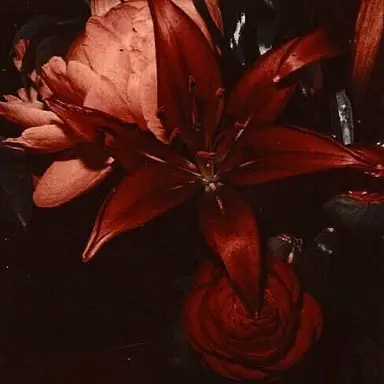 Profile image of 라더