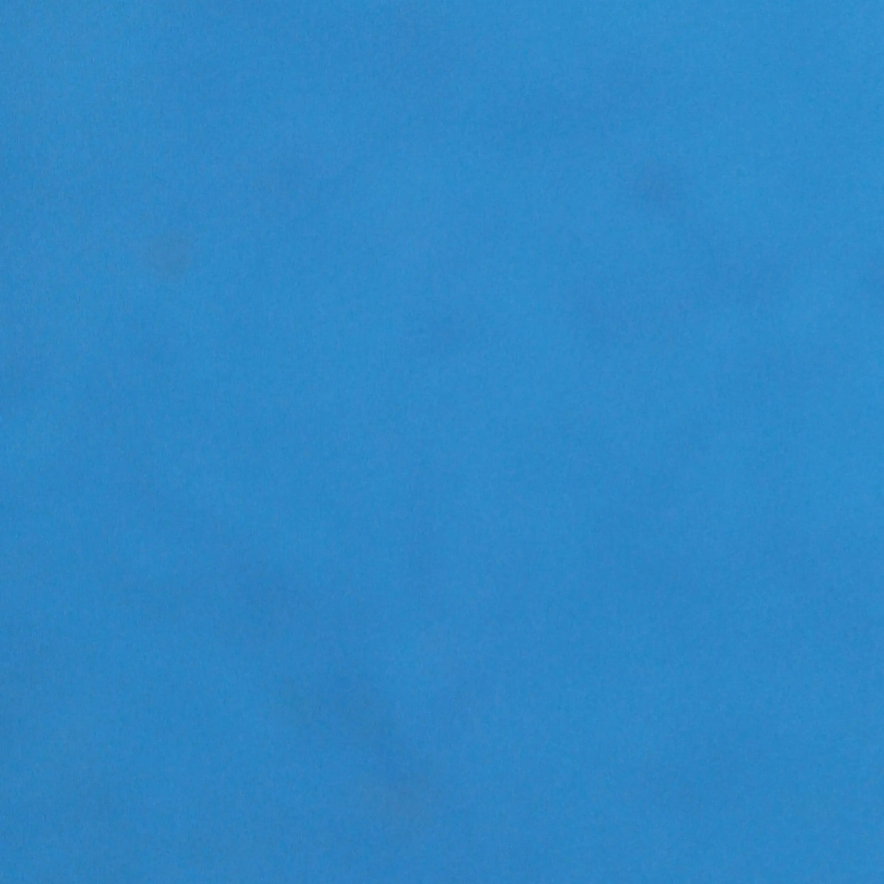 DaringBay5708의 주술회전 (여우가 있는데 예쁘다?!)