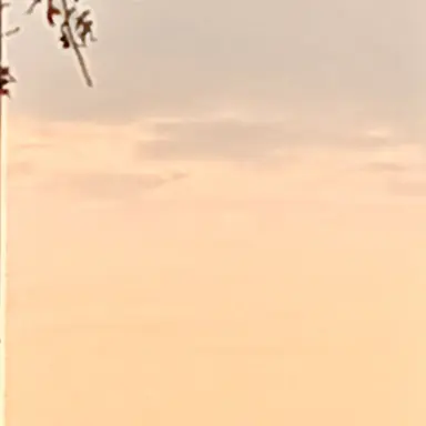 Profile image of 은유