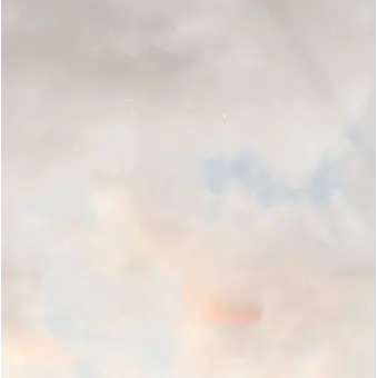 Profile image of 우유참치