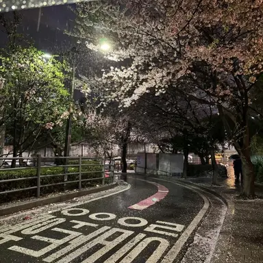 Profile image of 조홍진