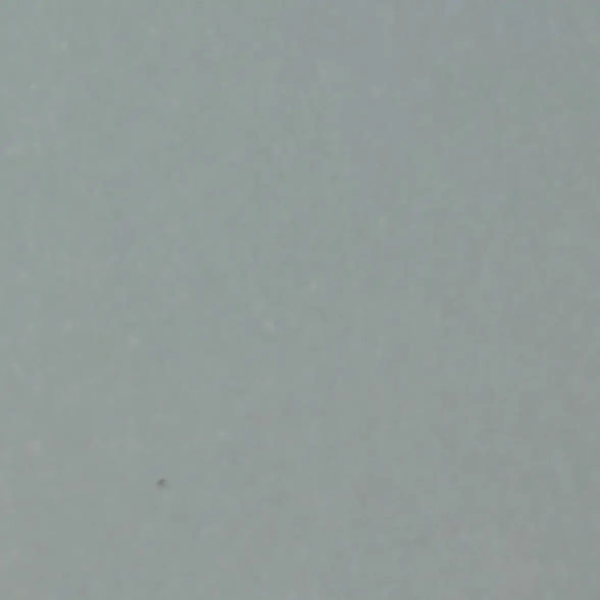 SweetSmog8194의 어째서