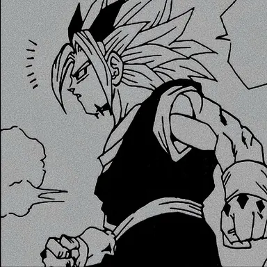 Profile image of ザイコー