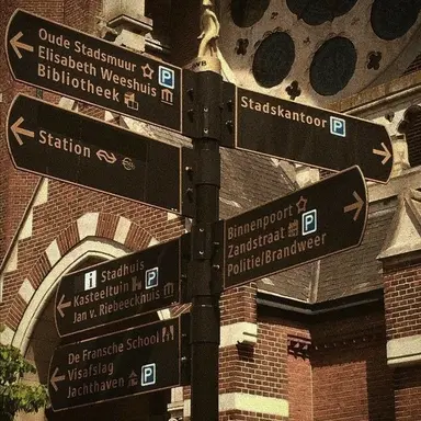 Profile image of 엘라 윌슨