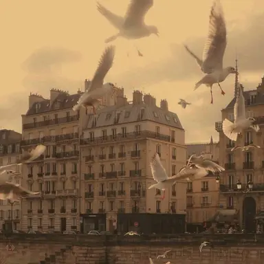 Profile image of 페넬로피 클레멘타인