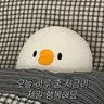 Profile image of 오리씨