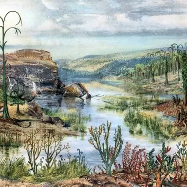 Profile image of 나레이션