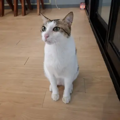 Profile image of 싸이코드