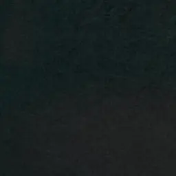 Bluejeans3의 경호원 강영현
