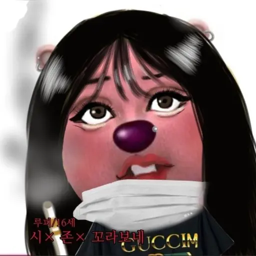 Snowyday_2025의 일진 루피